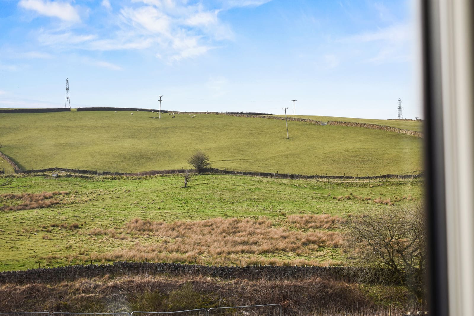 Sheep pasture and drystone walls in the High Peak